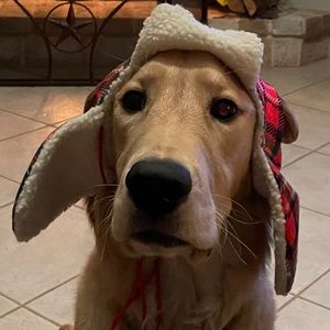 Meet your Posher, Bryon